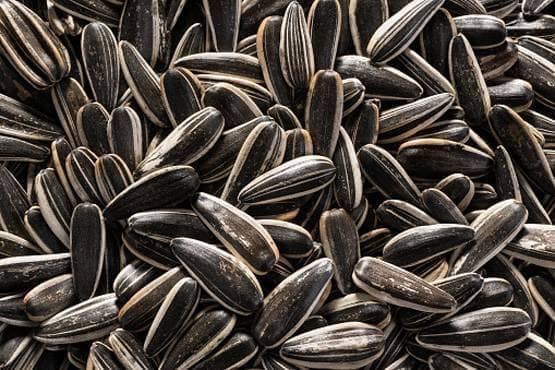 हर पुरुष को अपनी डाइट में शामिल करनी चाहिए ये 18 चीजें