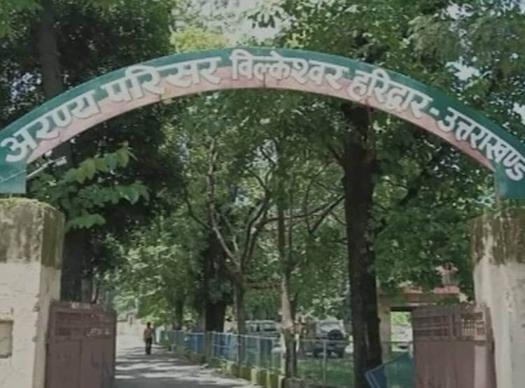 पपी को बंदर‍िया ने द‍िया मां का प्यार, अनाथ होने पर प‍िलाया दूध