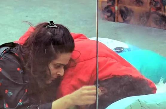 फेक है विशाल-मधुरिमा का रोमांस, बिग बॉस में टिकने के लिए ड्रामा?