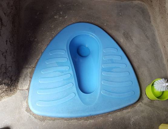 क्यों वेस्टर्न से बेहतर है इंडियन टॉयलेट? कैंसर भी रहता है कोसों दूर