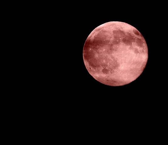 2020 में दुनिया का अंत! क्या सच होगी बाइबल की भविष्यवाणी?