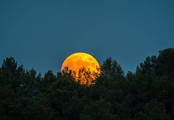 2020 में दुनिया का अंत! क्या सच होगी बाइबल की भविष्यवाणी?