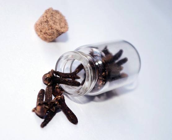 बढ़ते वजन से हैं परेशान तो लौंग पानी करेगा जादू का काम