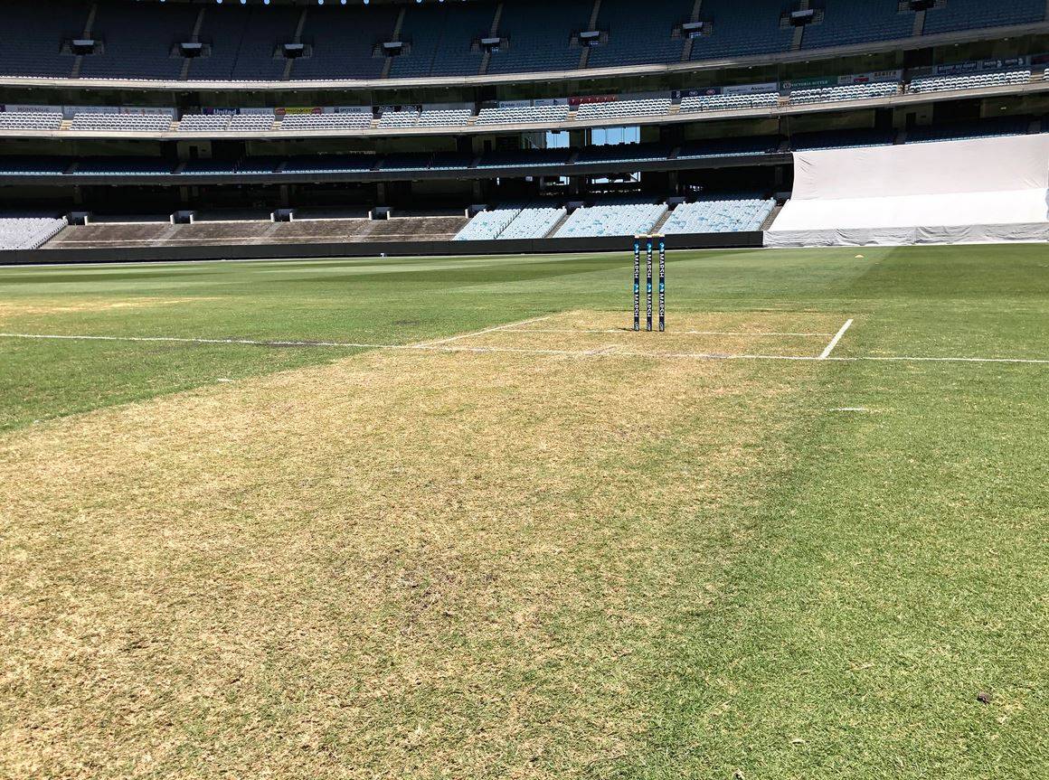 MCG की पिच हुई खतरनाक, खिलाड़ियों की चोट के बाद मैच रद्द