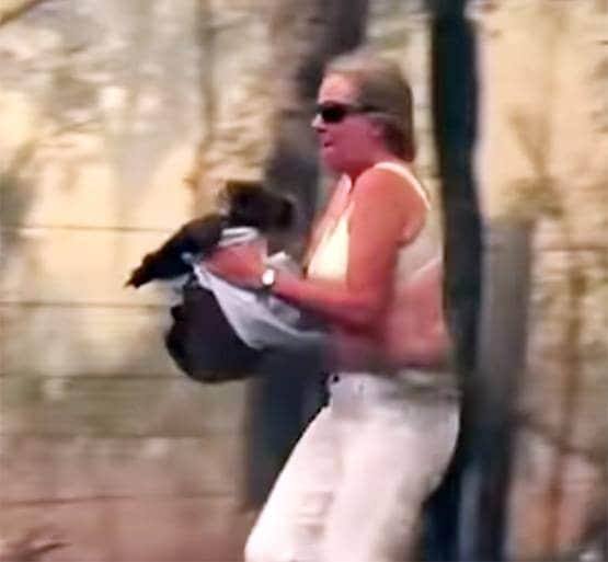 देखिए...साल 2019 की देश और दुनिया की सबसे ताकतवर तस्वीरें