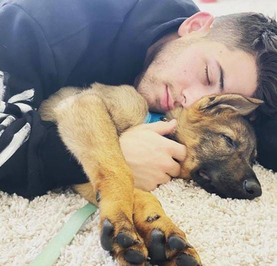 लग्जरी लाइफ जीते हैं प्र‍ियंका-निक के डॉगी, सोशल मीडिया पर हैं मशहूर