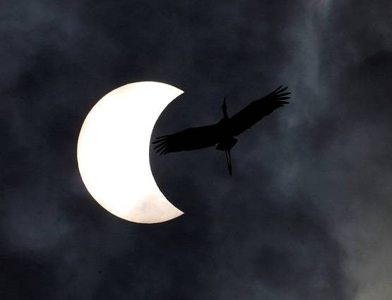 दशक के आखिरी सूर्य ग्रहण की खूबसूरत तस्वीरें, देखकर झूम जाएगा मन