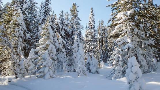 दुनिया की दूसरी सबसे ठंडी जगह, -48 डिग्री में जम जाती है हर चीज