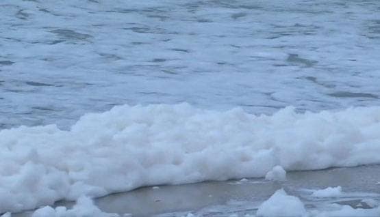 तमिलनाडुः हवा के बाद पानी भी जहरीला, मरीना बीच उगल रहा खतरनाक 'झाग'