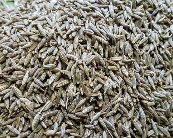 बाजार में बिक रहा है 'झाड़ू' से बना नकली जीरा, हो जाइए सावधान