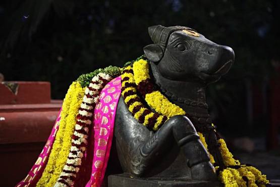 अलग झंडा-करोड़ों की आबादी: नित्यानंद ने बसाया 'हिंदू राष्ट्र'