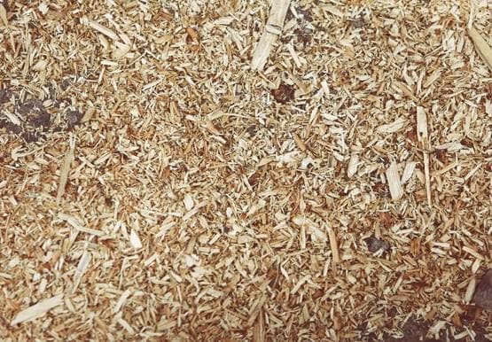 बाजार में बिक रहा है 'झाड़ू' से बना नकली जीरा, हो जाइए सावधान