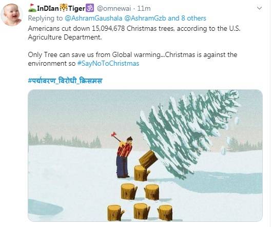 क्रिसमस पर लोग क्यों मना रहे हैं तुलसी पूजन दिवस?