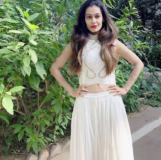 सिर्फ नेहरू नहीं, इन बातों पर बवाल काट चुकी हैं पायल रोहतगी