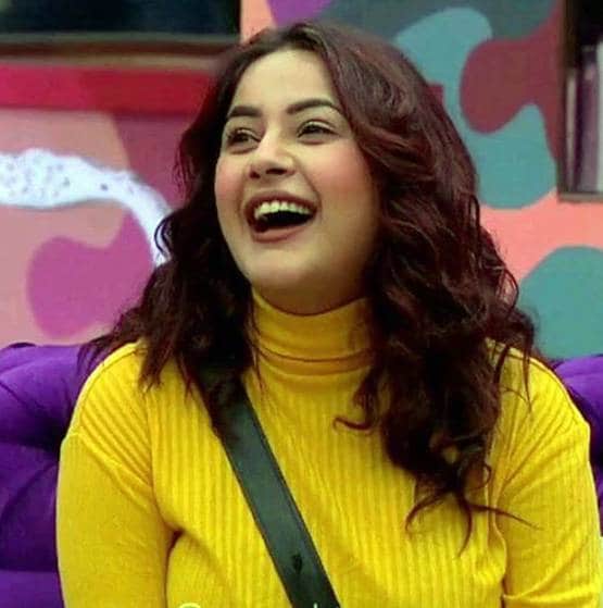 BB: सिद्धार्थ-शहनाज के बीच बढ़ रही नजदीकियां, प्यार में बदलेगी दोस्ती?