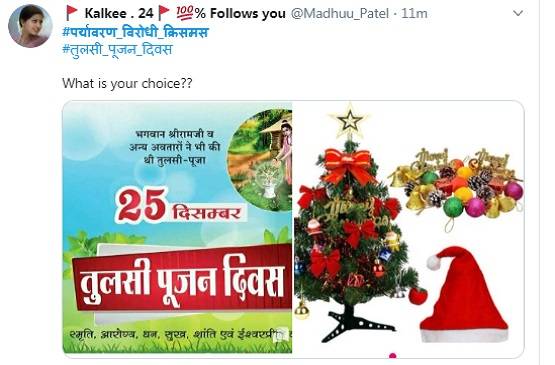 क्रिसमस पर लोग क्यों मना रहे हैं तुलसी पूजन दिवस?