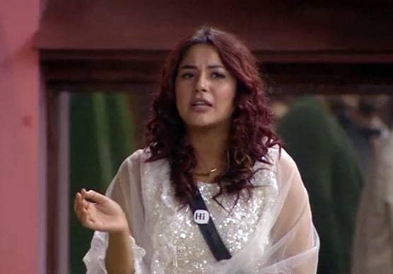 बिग बॉस में कार्तिक को देखकर उड़े शहनाज के होश, घुटनों पर बैठ किया प्रपोज