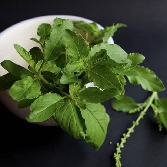 Surya grahan 2019: साल के आखिरी सूर्य ग्रहण में भूलकर भी न करें ये 10 काम