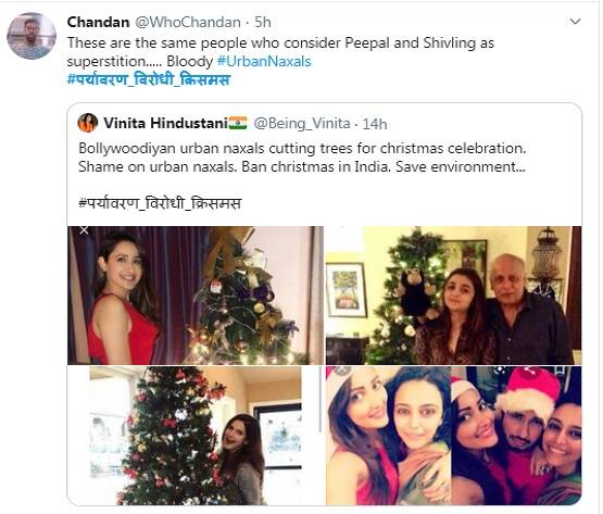 क्रिसमस पर लोग क्यों मना रहे हैं तुलसी पूजन दिवस?