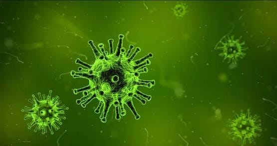 वैज्ञानिकों ने बनाया आसान गर्भनिरोधक, रोज नहीं खानी होगी गोली