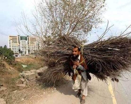 बांग्लादेशी विदेश मंत्री बोले- मुफ्त खाने के लिए हमारे देश आ रहे भारतीय