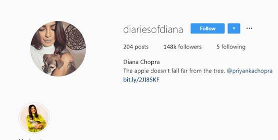 लग्जरी लाइफ जीते हैं प्र‍ियंका-निक के डॉगी, सोशल मीडिया पर हैं मशहूर