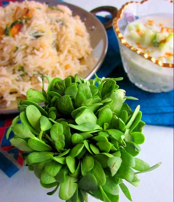 मेथी के 5 चमत्कारी फायदे, सर्दियों में जरूर करें डाइट में शामिल