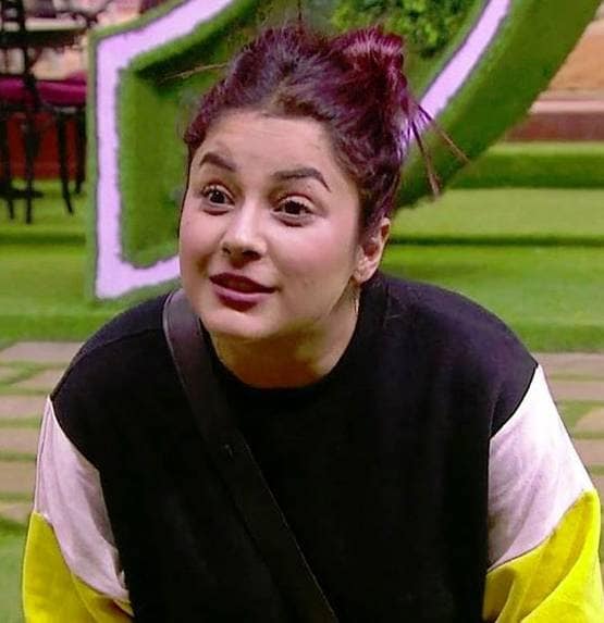 बिग बॉस: पारस के लिए फूट-फूटकर रोईं शहनाज, कहा- उससे प्यार करती हूं