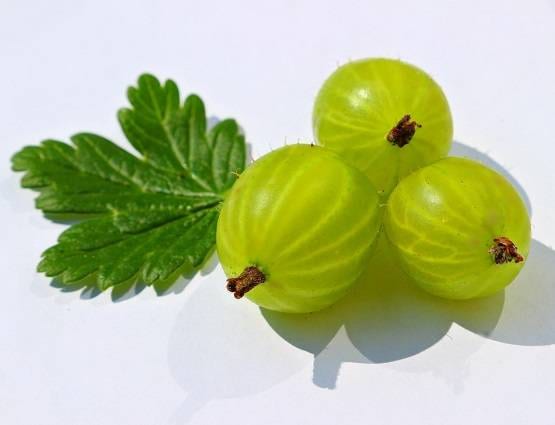 सर्दी में जरूर खाएं ये 10 चीजें, ठंड और बीमारी दोनों से राहत