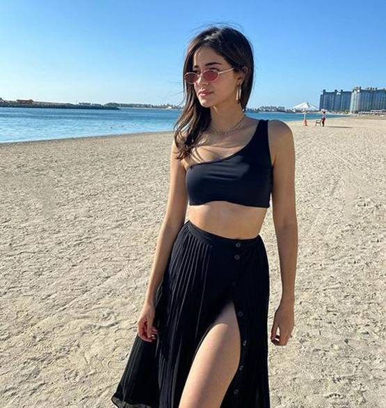 सात समंदर पार दोस्त का बर्थडे सेलिब्रेट कर रहीं अनन्या, फोटो वायरल