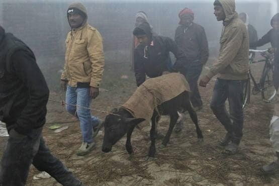 48 घंटे में 30 हजार जानवरों की बलि, इस मंदिर की दुनिया में चर्चा