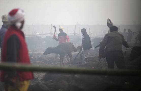 48 घंटे में 30 हजार जानवरों की बलि, इस मंदिर की दुनिया में चर्चा