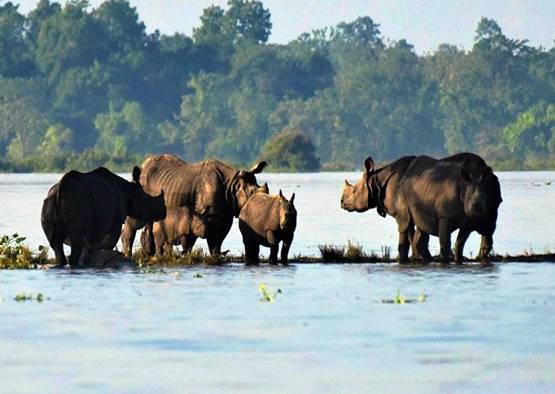 देखिए...साल 2019 की देश और दुनिया की सबसे ताकतवर तस्वीरें