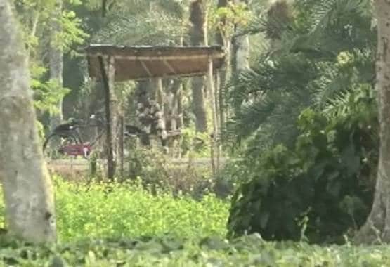 CAA का खौफ! भारत छोड़ बांग्लादेश भाग रहे घुसपैठिये, 350 अरेस्ट