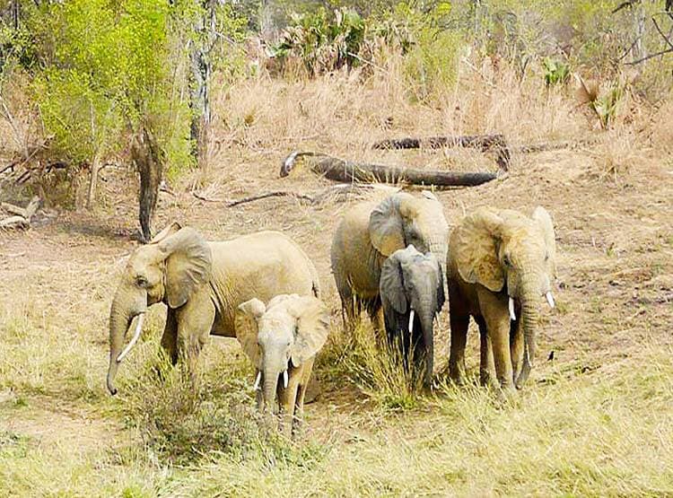 इन 8 देशों में बदल गई करेंसी, यहां जा रहे हों तो ध्यान रखें...