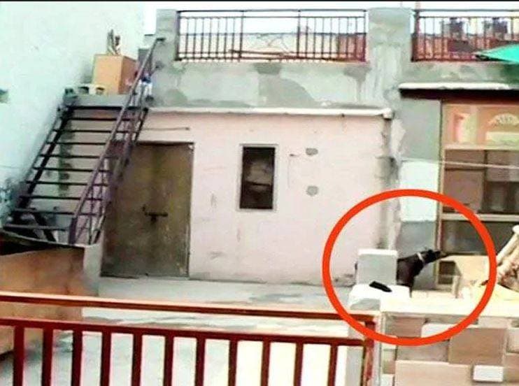 बुराड़ी के उस घर को मिला किराएदार, जहां 11 लोगों ने दी थी जान