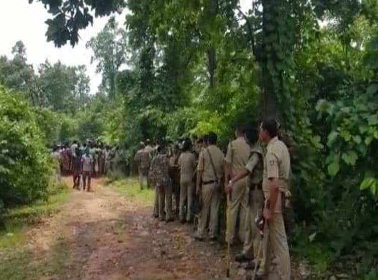 कोयला प्रोजेक्ट के लिए पुलिस ने जंगल को घेरा, काटे गए 40 हजार पेड़