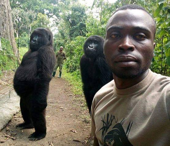 देखिए...साल 2019 की देश और दुनिया की सबसे ताकतवर तस्वीरें