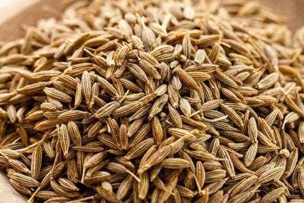 झाड़ू से बन रहा था जीरा, तरीका जान हैरान रह जाएंगे आप