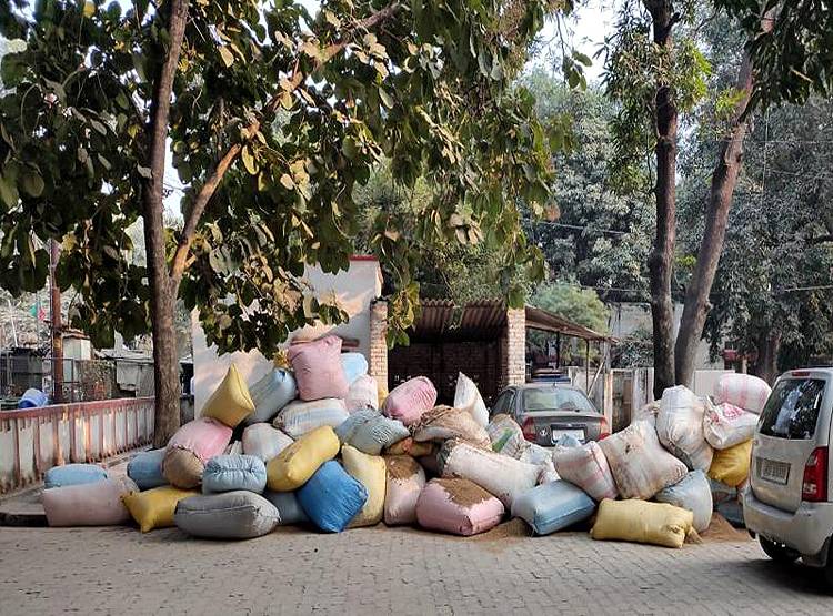 झाड़ू से बन रहा था जीरा, तरीका जान हैरान रह जाएंगे आप