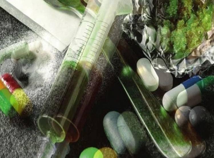 नए साल से पहले मिली कोकीन की बड़ी खेप, कीमत जानकर दंग रह जाएंगे