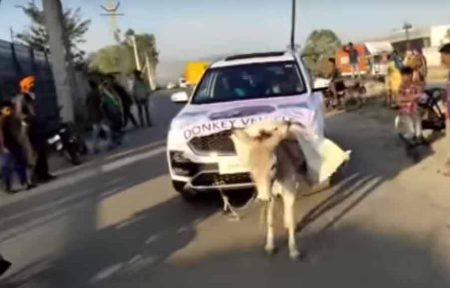 ग्राहक ने MG हेक्टर को गधे से खिंचवाया, कंपनी ने कहा- नहीं छोड़ेंगे!