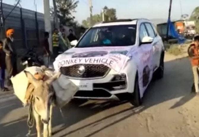 ग्राहक ने MG हेक्टर को गधे से खिंचवाया, कंपनी ने कहा- नहीं छोड़ेंगे!