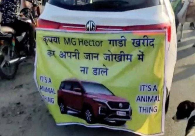 ग्राहक ने MG हेक्टर को गधे से खिंचवाया, कंपनी ने कहा- नहीं छोड़ेंगे!