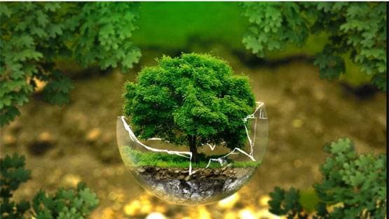 2020 के लिए बाबा वेन्गा की भविष्यवाणी, मचेगी भारी उथल-पुथल