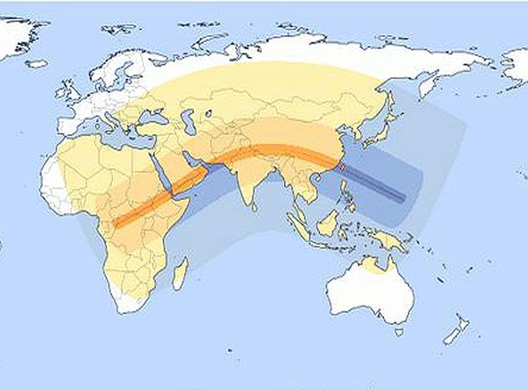 गांधी जयंती समेत चार बार और दिखेगा रिंग ऑफ फायर सूर्य ग्रहण
