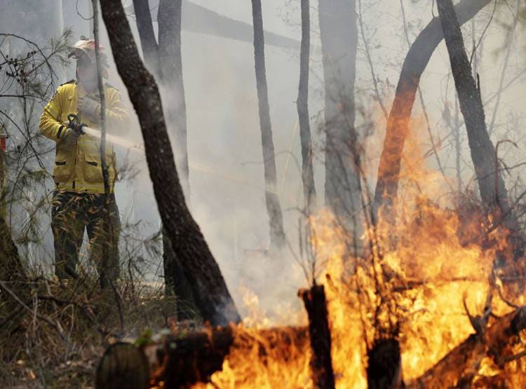 ऑस्ट्रेलिया में इमरजेंसीः जंगल की आग ने सिडनी को घेरा