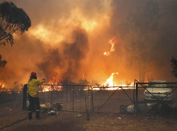 ऑस्ट्रेलिया में इमरजेंसीः जंगल की आग ने सिडनी को घेरा