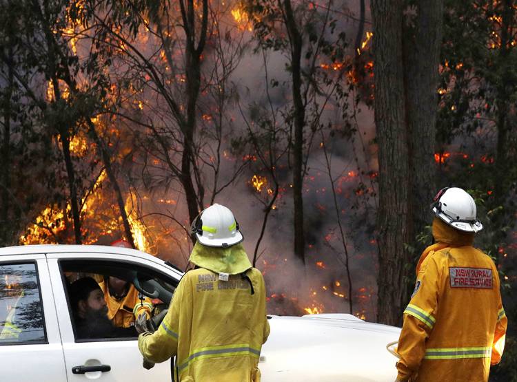 ऑस्ट्रेलिया में इमरजेंसीः जंगल की आग ने सिडनी को घेरा