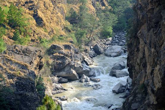 गंगा में मिला खतरनाक बैक्टीरिया, एंटीबायोटिक दवाएं भी हो जाएंगी फेल!